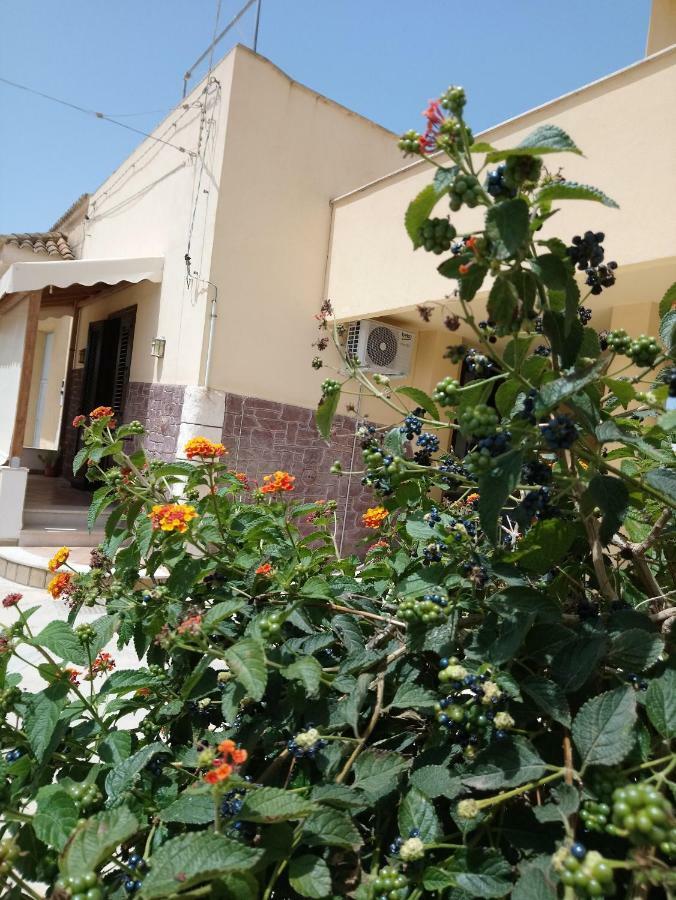 Apartment Of Kite And Wine Birgi Vecchi Luaran gambar